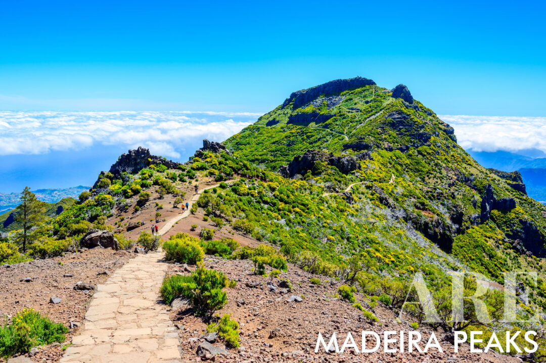 PR1 Vereda do Areeiro est un sentier reliant trois des plus hauts sommets de Madère. Il commence au Pico do Areeiro (1818 m), traverse le Pico das Torres (1851 m) et se termine au Pico Ruivo (1862 m). Ce sentier de 7 km de difficulté modérée prend environ 3 heures et 30 minutes à compléter et fait partie du massif montagneux central, une zone du réseau Natura 2000. Le sentier commence au point de vue du Pico do Areeiro et comprend des tunnels, des pentes raides et une montée difficile jusqu'à l'abri Casa de Abrigo do Pico Ruivo. Les randonneurs verront des bruyères d'altitude et des espèces d'oiseaux uniques en chemin.