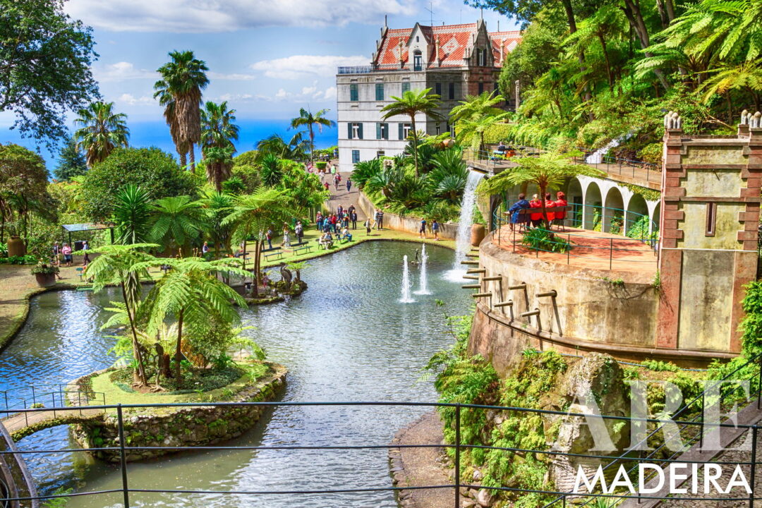 Monte Palace Madeira est l'une des attractions les plus appréciées et visitées de Funchal, située au bout du téléphérique. Cette attraction époustouflante présente des plantes exotiques, des lacs tranquilles et des sculptures impressionnantes. Les visiteurs peuvent profiter d'une ambiance tranquille, explorer de petits musées et découvrir des joyaux cachés comme des flamants roses, des carpes koï et des cygnes. Le jardin, qui nécessite une entrée payante, est parsemé d'œuvres d'art.