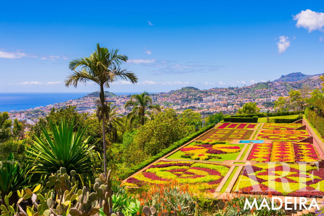 Le jardin botanique de Madère, accessible en téléphérique depuis Monte, en bus ou en taxi, présente une collection diversifiée de plantes exotiques, des terrasses magnifiquement aménagées et une vue imprenable sur Funchal et le paysage environnant. Nécessite une entrée payante.