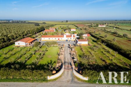 Farmhouse for sale in Ferreira do Alentejo